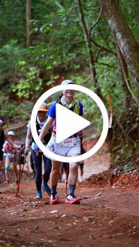 BIB:  <button type="button" onclick="openModal(27459495)" class="btn btn-primary btn-sm float-right" data-toggle="modal" data-target=".modal-high-quality">
                <i class="fa fa-download"></i> Download
                </button>